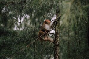 Image boardviewltd.co.uk 1347 1746171229868